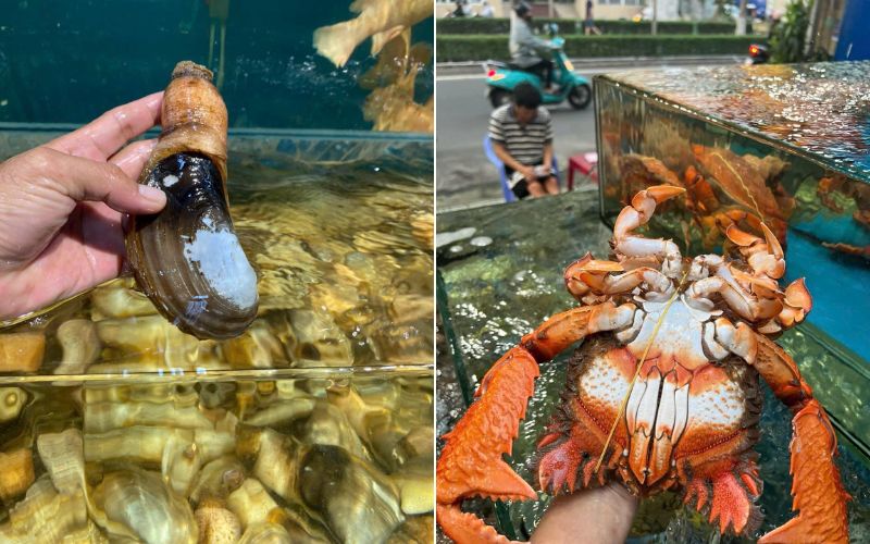 Hải Sản Nhập Khẩu Hay Nội Địa